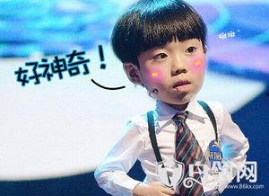 章扬个人资料,才华横溢的青年才俊，多领域成就斐然  第2张