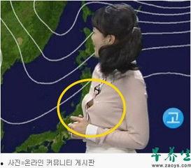 韩国女主播真空裸露,揭秘网络直播界的道德边界  第2张