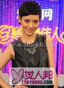 杨小乐主持人个人资料,才华横溢的主持人，魅力四射的舞台之星  第2张