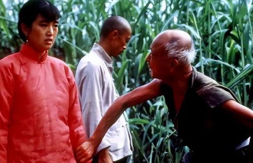 电影红高粱背景,抗战岁月里的爱情与抗争  第3张