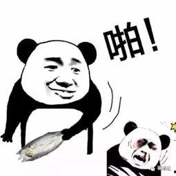 前任3表情包,笑中带泪,回忆里的情感纠葛 第3张 前任3表情包,笑中带泪,回忆里的情感纠葛 第3张