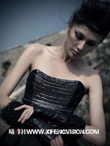 张曦 资料,揭秘传奇人生与成就  第3张