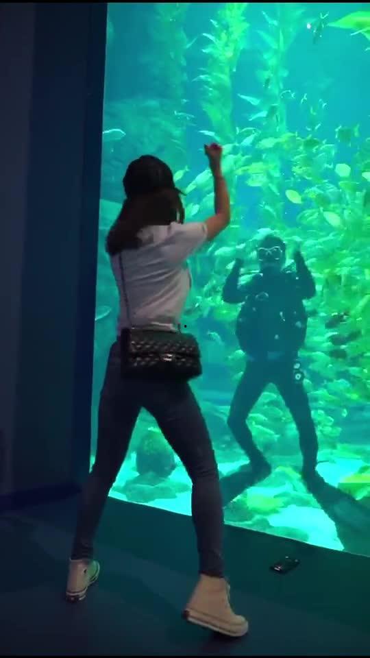 网红 潜水员,探寻网红潜水员的神秘世界