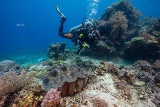 网红 潜水员,探寻网红潜水员的神秘世界 第3张 网红 潜水员,探寻网红潜水员的神秘世界 第3张