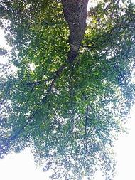 赵一鸣图片,光影交织下的艺术人生 第2张 赵一鸣图片,光影交织下的艺术人生 第2张