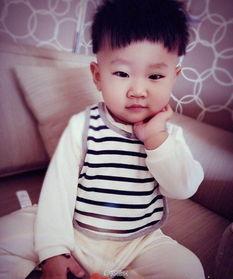 胡中惠个人资料  第1张