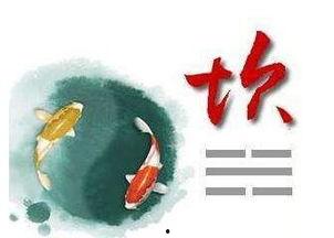 身体部位代表的八卦