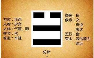 身体部位代表的八卦  第2张