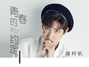 陈柯帆 芒果娱乐,共筑璀璨星途  第2张