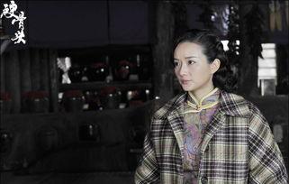 硬骨头电视剧演员表,实力派齐聚，演绎热血传奇  第3张