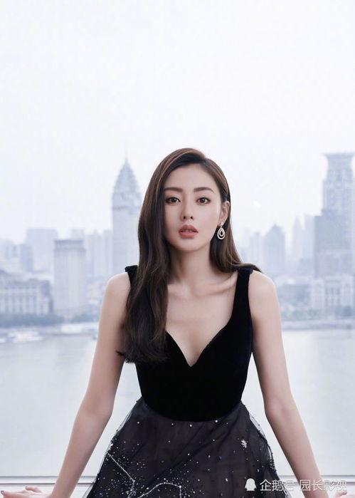 女明星金主,揭秘女明星背后的神秘力量  第3张