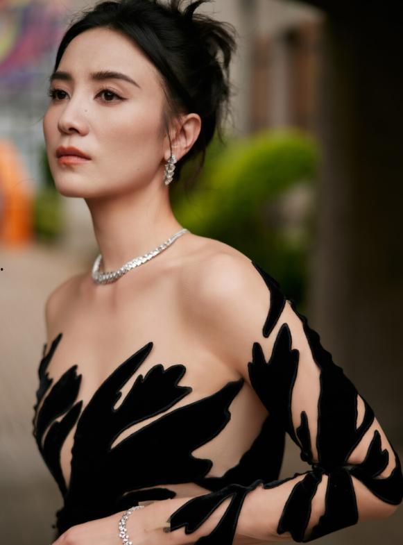 宋佳老公资料,揭秘影视圈实力派演员背后的神秘人生  第1张