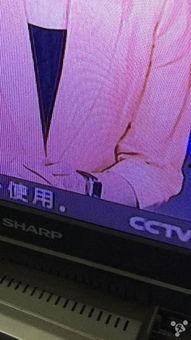 女主播手表,揭秘手表背后的魅力与故事 第3张 女主播手表,揭秘手表背后的魅力与故事 第3张